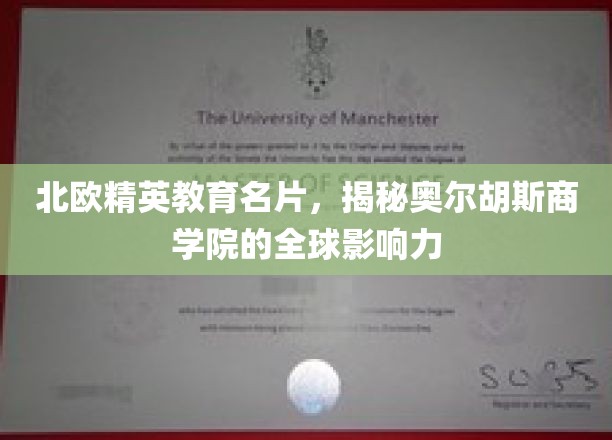 探寻北欧教育之光，奥尔胡斯商学院的国际影响力揭秘之旅
