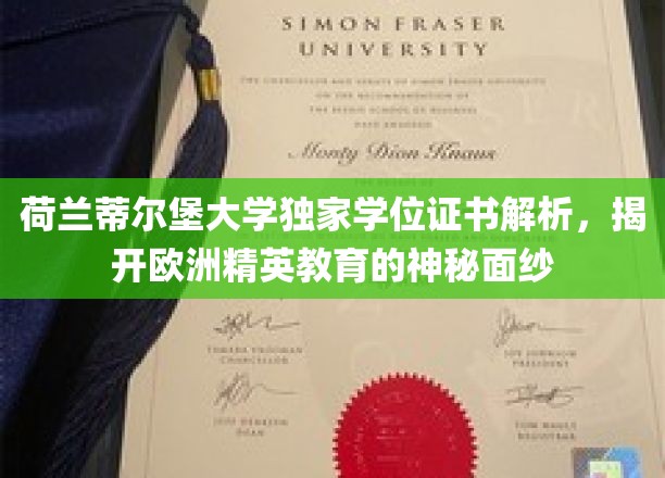 荷兰蒂尔堡大学学位揭秘，探秘欧洲精英教育风采