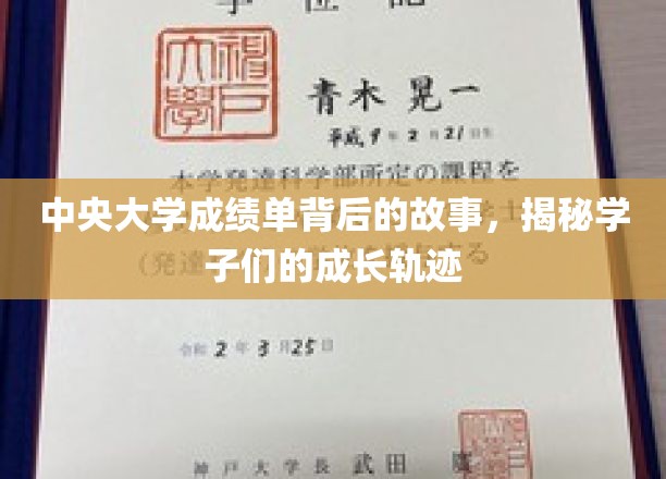 成绩单背后的青春足迹，中央大学学子成长历程大揭秘