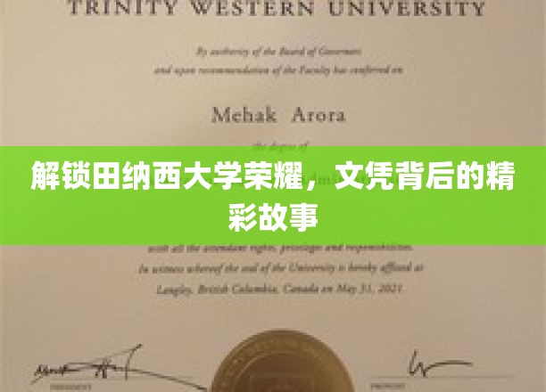 探寻田纳西大学辉煌足迹，揭秘学子荣耀背后的传奇篇章