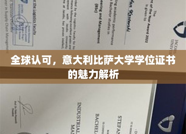 比萨荣耀，全球瞩目的意大利大学学位证书之谜