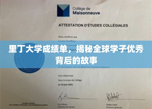 里丁大学学子荣耀背后的真实篇章
