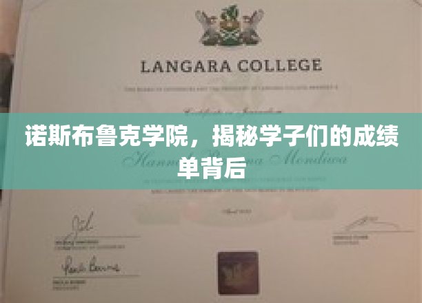 探寻诺斯布鲁克学子卓越成绩背后的秘密世界