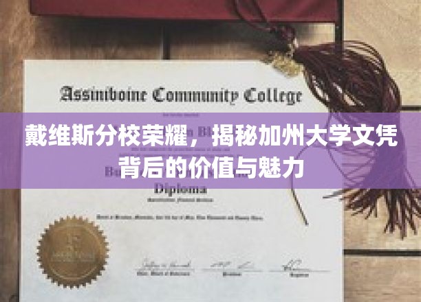 加州戴维斯分校荣耀，探索文凭背后的独特魅力与价值