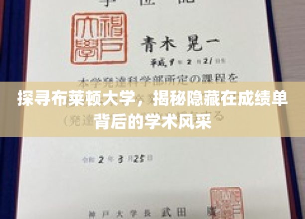 解码布莱顿大学，揭秘成绩单背后的学术魅力之光