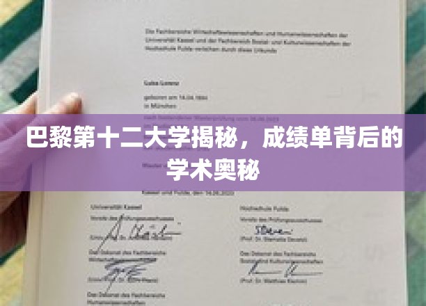 探寻巴黎第十二大学，揭开成绩单背后的学术面纱