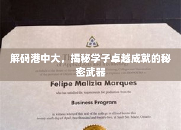 解码港中大，揭秘学子卓越成就的秘密武器