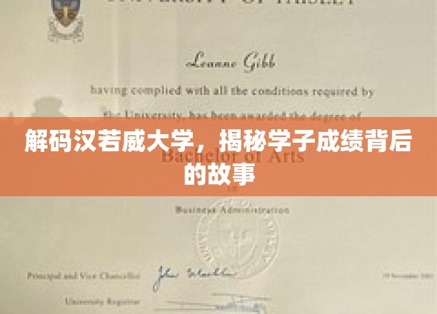 解码汉诺威莱布尼茨大学，探寻学子成绩背后的故事