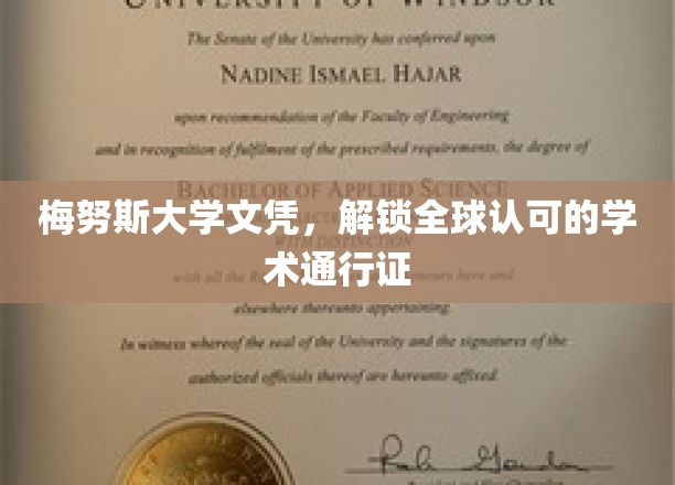 梅努斯大学文凭，开启全球认可的学术之旅