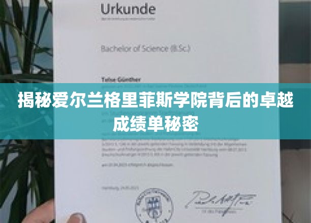 揭开爱尔兰格里菲斯学院卓越成绩单背后的秘密