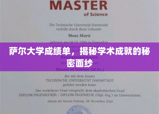 揭开萨尔大学成绩单背后的学术辉煌之谜