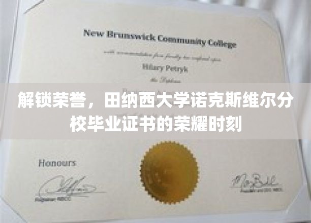 解锁荣耀：田纳西大学诺克斯维尔分校毕业证书的辉煌时刻