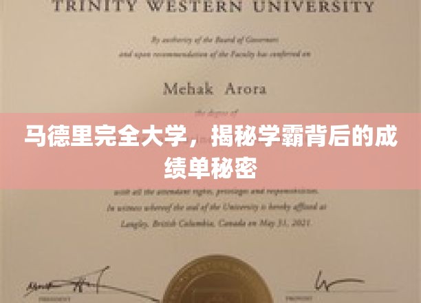 解码马德里大学学霸背后的卓越成绩奥秘