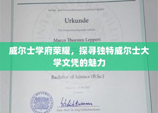 威尔士教育之光，揭秘威尔士大学文凭的独特魅力