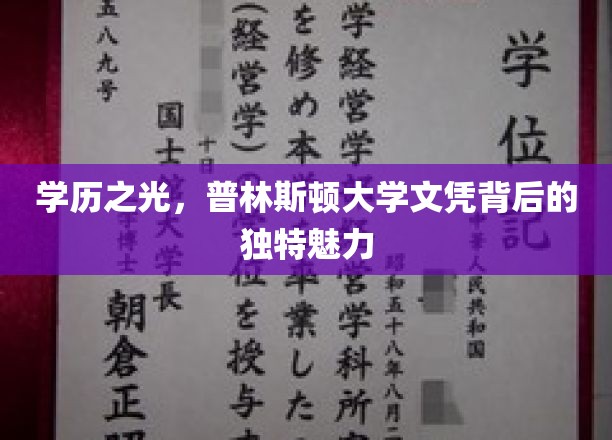 学历之光，普林斯顿大学文凭背后的独特魅力