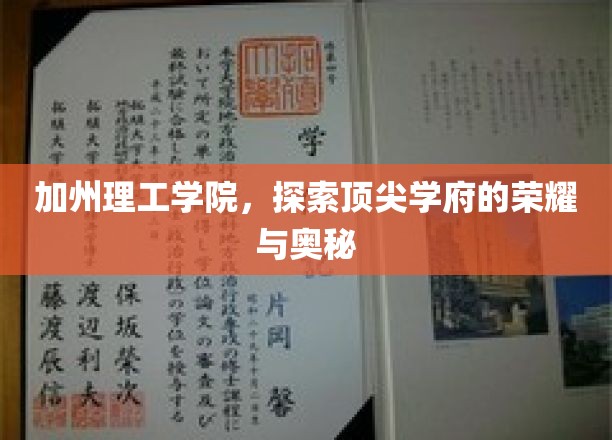 解码加州理工，揭秘顶尖学府的辉煌之路