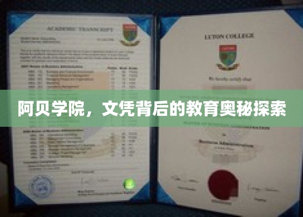 阿贝学院，探索文凭背后的教育奥秘