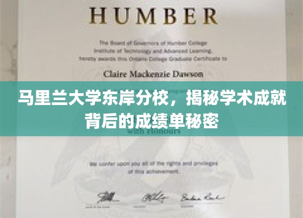 解码马里兰大学东岸分校，揭开辉煌成就背后的成绩单奥秘