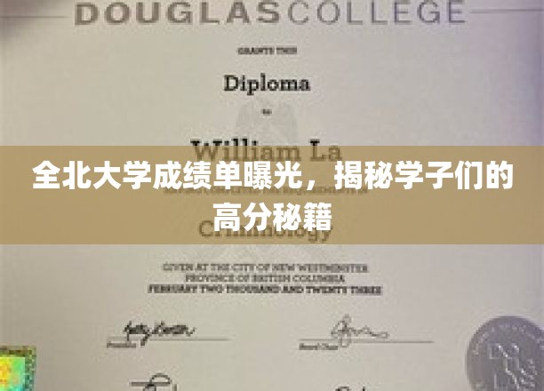 揭秘全北大学学霸高分策略，成绩单背后的学习奥秘