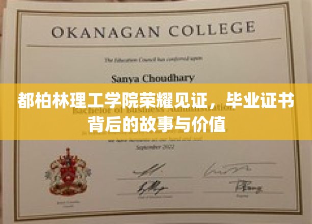 都柏林理工荣耀瞬间，探索毕业证书背后的非凡故事与珍贵意义