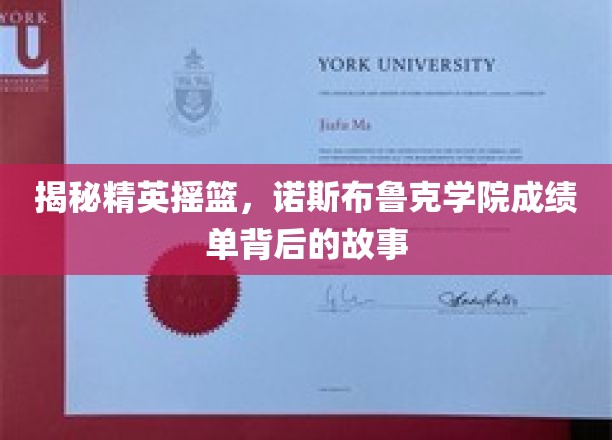 揭秘精英摇篮，诺斯布鲁克学院成绩单背后的故事