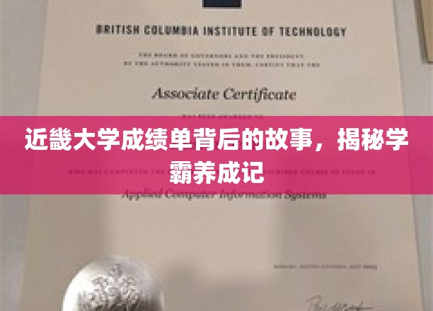 近畿学霸养成记，那些不为人知的高分背后