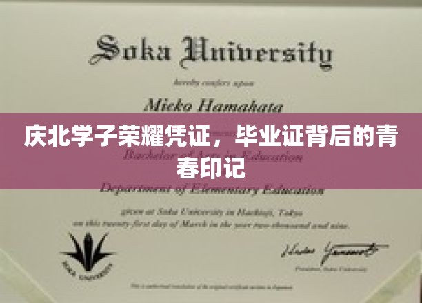 青春足迹见证，庆北学子毕业证书中的荣耀瞬间