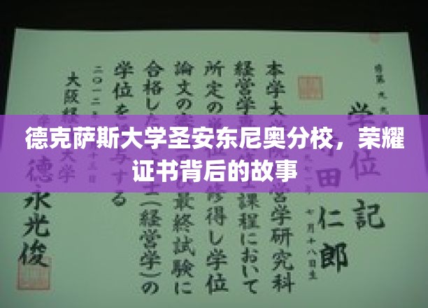 德克萨斯大学圣安东尼奥分校荣耀证书，揭秘背后的传奇历程