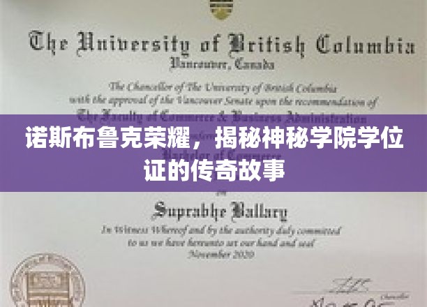 诺斯布鲁克辉煌，探寻神秘学院学位证的传奇奥秘