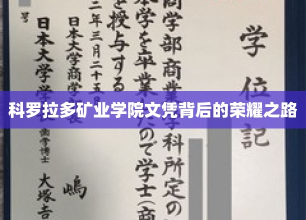 攀登科罗拉多矿业学院荣耀巅峰的学历征途