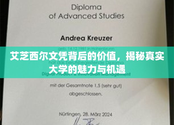 探寻艾芝西尔文凭的深层价值，揭秘现代大学的独特魅力与无限机遇