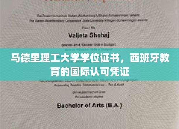 欧洲学术通行证，马德里理工大学学位，开启全球职场新篇章