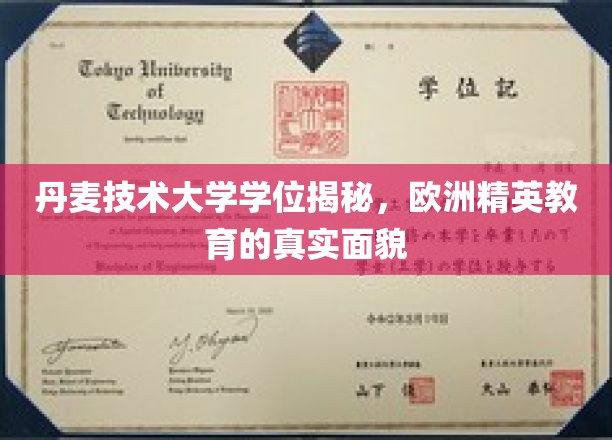 揭开丹麦技术大学学位面纱，欧洲精英教育的真实图景