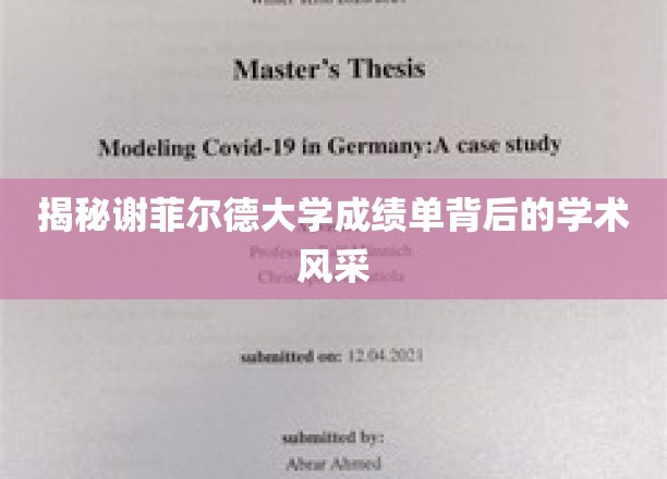探寻谢菲尔德大学成绩单中的学术魅力之光