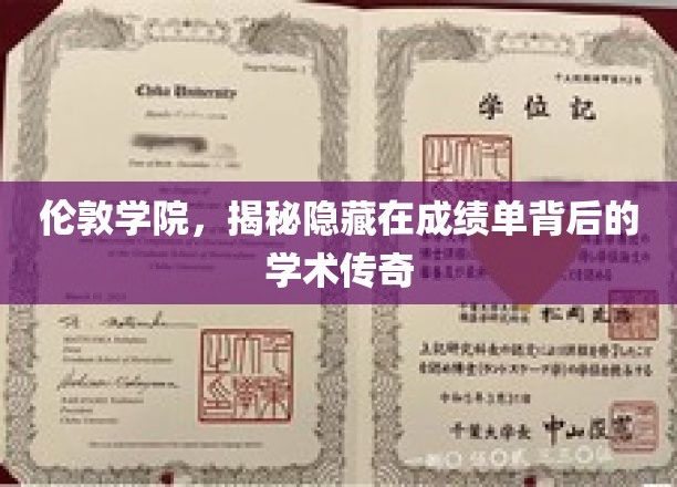 揭开伦敦学院成绩单背后的学术奥秘之旅