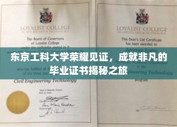 东京工科大学卓越之旅，揭秘毕业生手中闪耀的荣誉证书