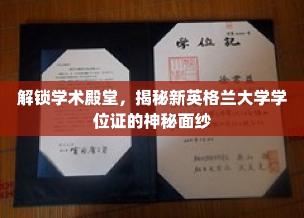 解锁学术殿堂，揭秘新英格兰大学学位证的神秘面纱