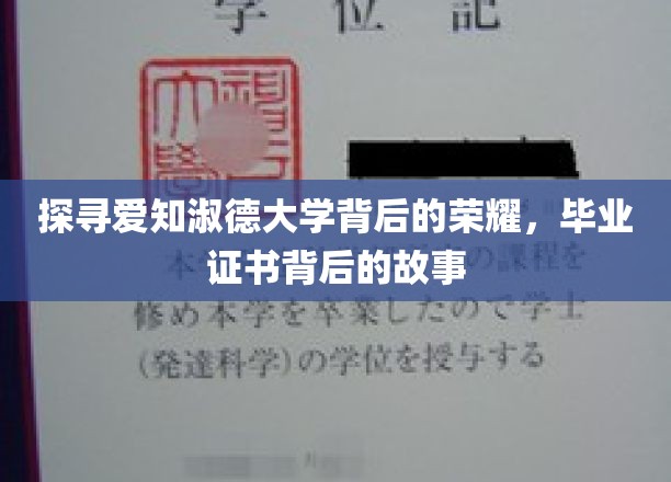 解码爱知淑德荣耀篇章，一纸证书背后的传奇故事