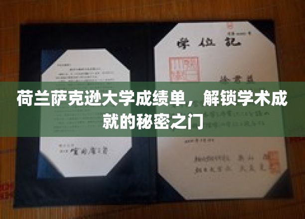 解锁荷兰萨克逊大学，揭秘学生成绩单背后的学术传奇