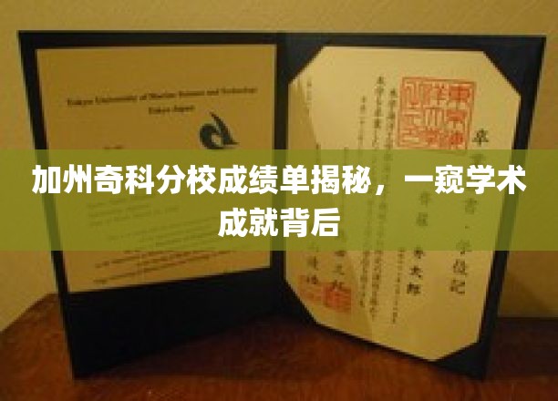 加州奇科分校成绩单大揭秘，探寻学子学术成就背后的故事