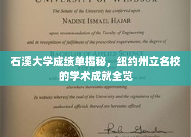 石溪大学成绩单揭秘，纽约州立名校的学术成就全览