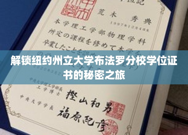 解锁纽约州立大学布法罗分校学位证书的秘密之旅