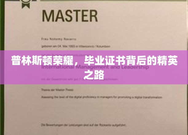 普林斯顿荣耀，毕业证书背后的精英之路