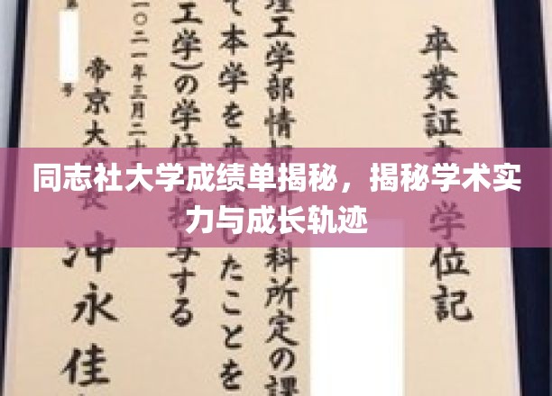 解码同志社大学，揭秘学力与成长脉络的神秘面纱