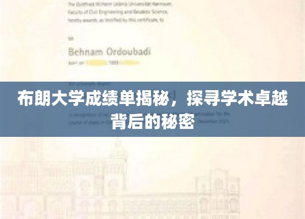 布朗大学成绩单背后的学术奥秘大揭秘