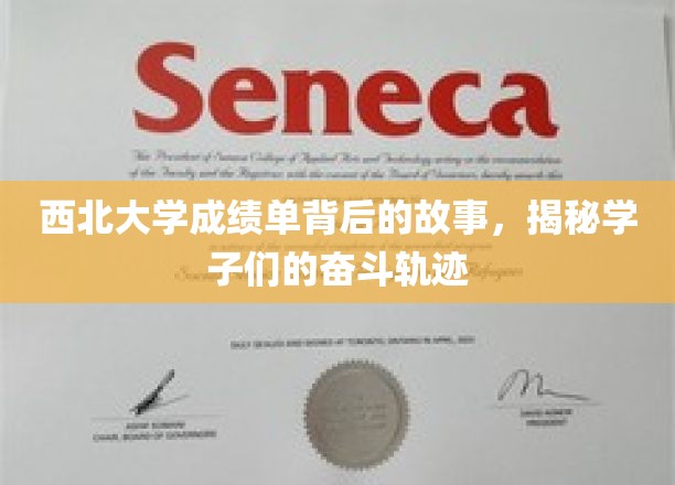 西北大学学子奋斗轨迹，揭开成绩单背后的青春篇章