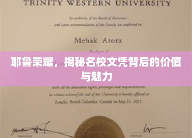 耶鲁荣耀，探寻名校文凭背后的价值与魅力