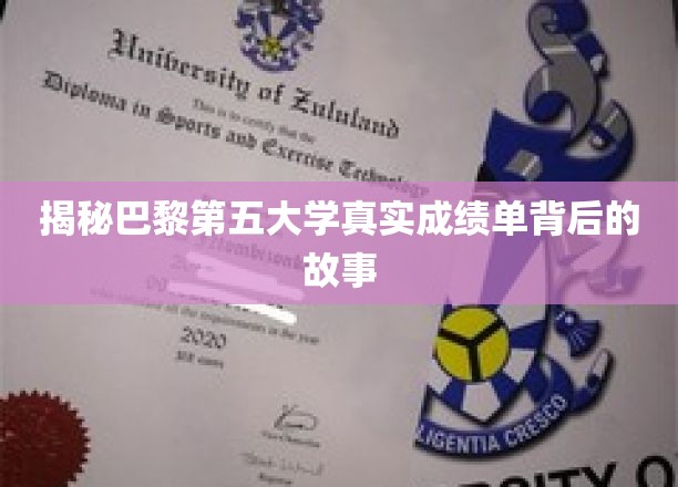 探寻巴黎第五大学成绩单背后的惊人真相