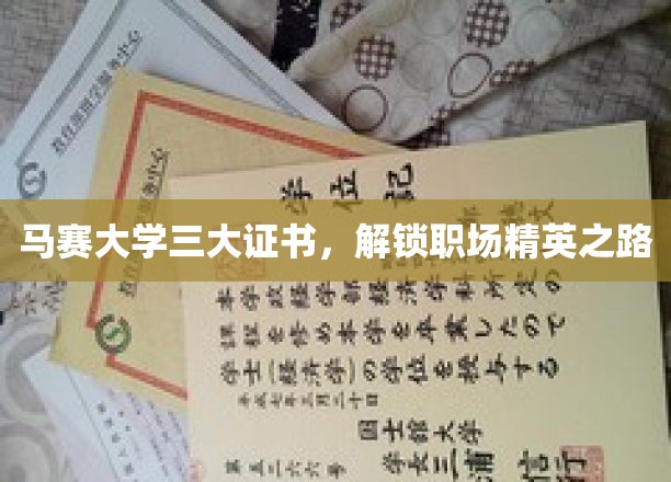 马赛大学三证在手，职场精英之路一马平川