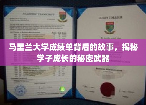 马里兰大学学子成长秘籍，揭秘成绩单背后的不凡历程